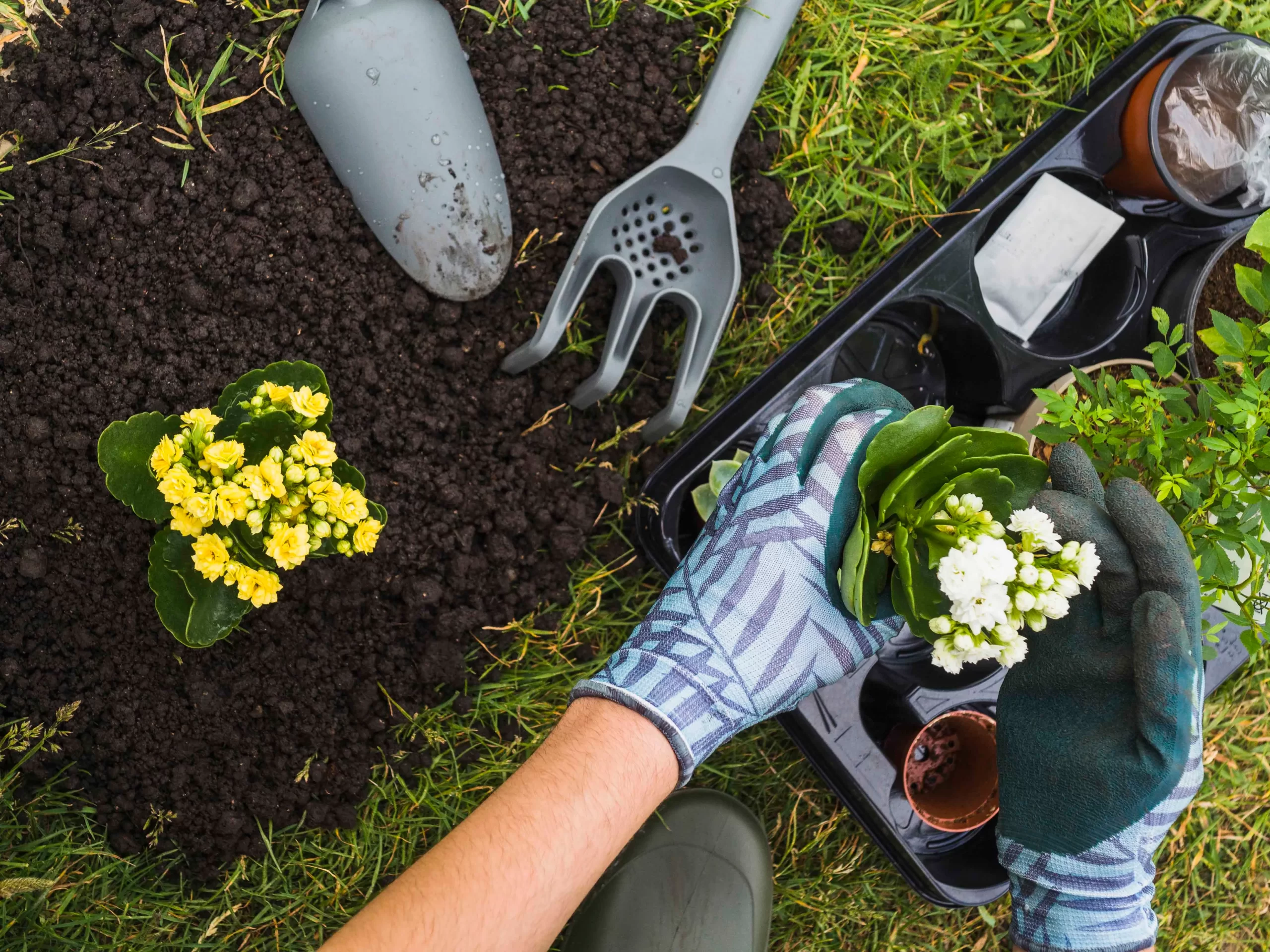 Garden Maintenance and Landscaping Services