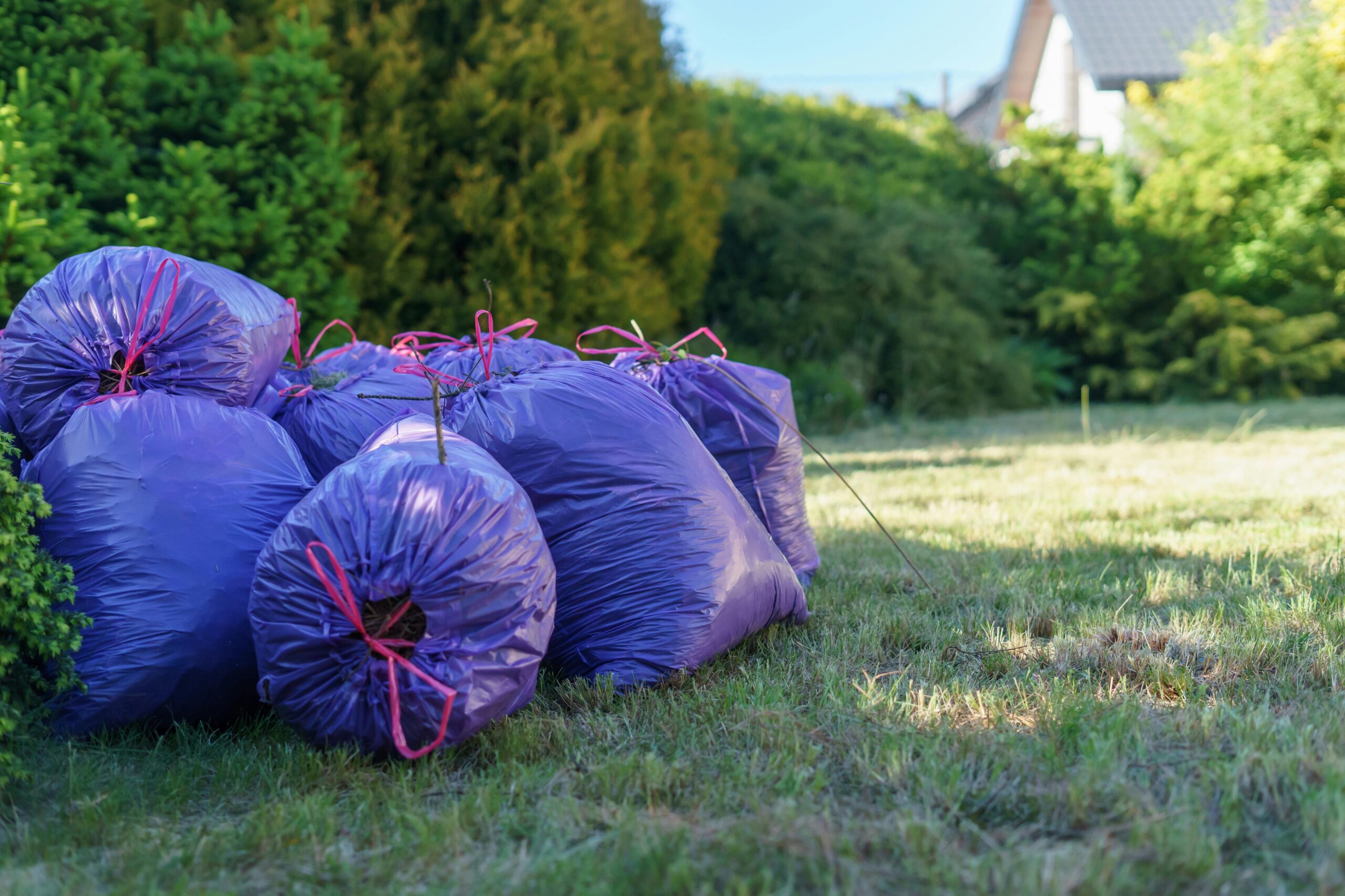 what is rubbish removal and why does it matters