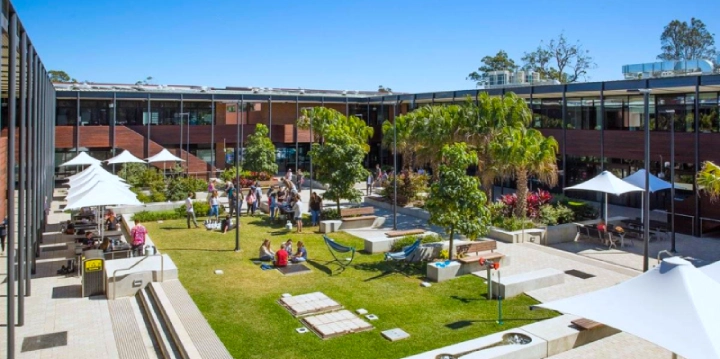 rubbish removal findon